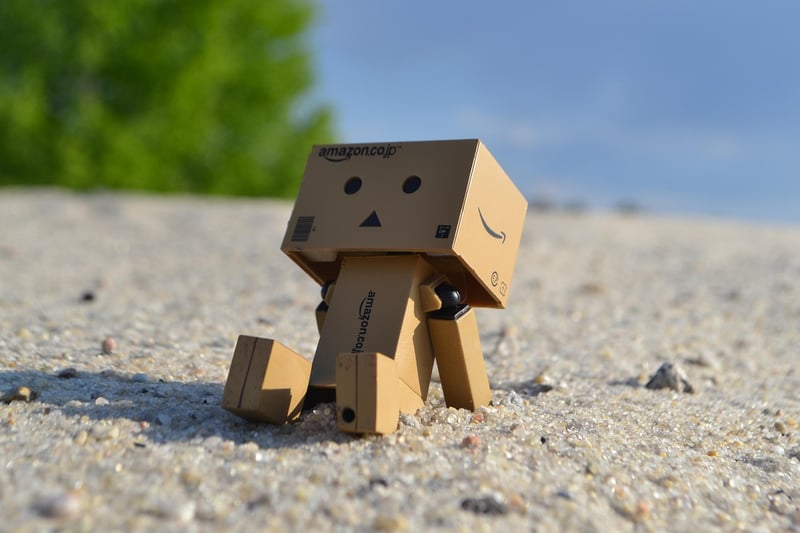 Cardboard Tube Binoculars